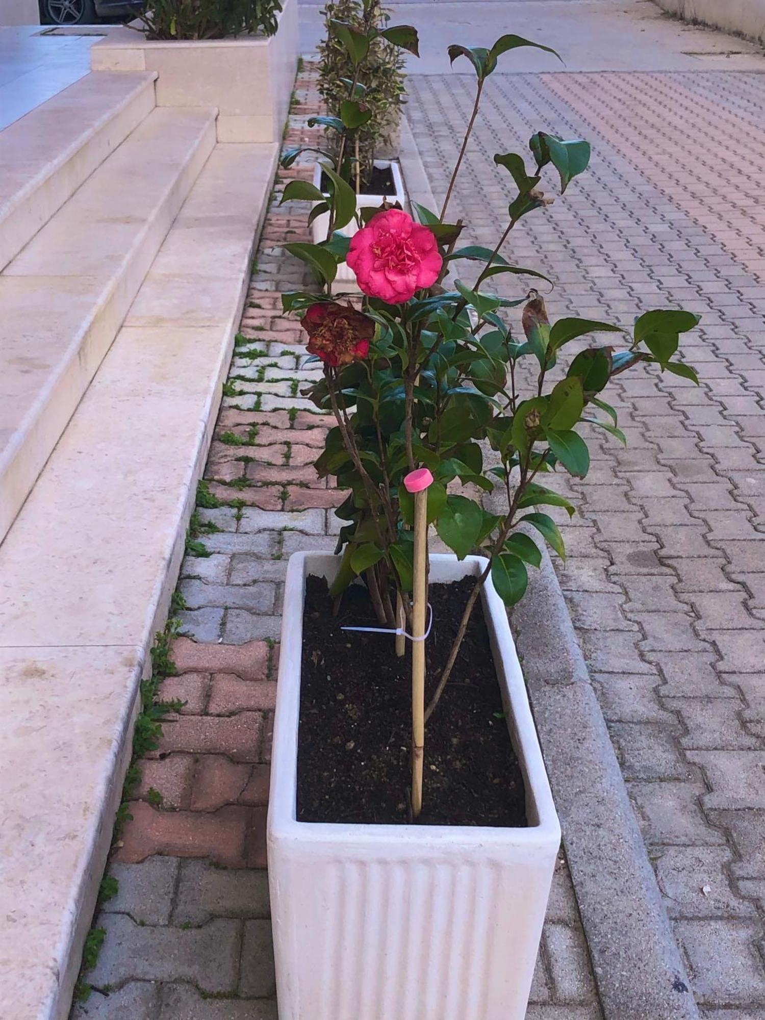 Vlore Apartment エクステリア 写真